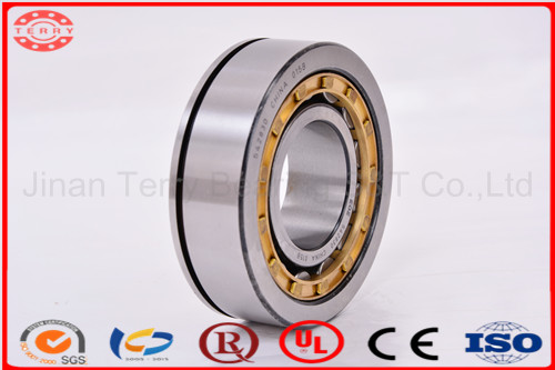 The Little Noice Cylindrical Roller Bearing (NJ310E)