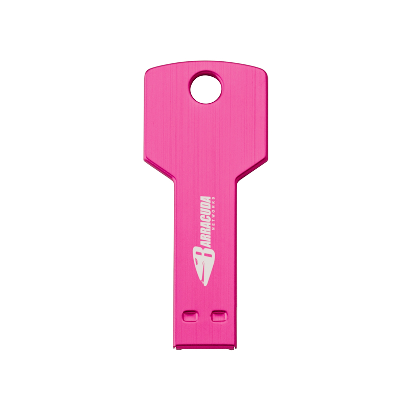 Colorful Key Shape Metal Pen Drive with Free OEM Service