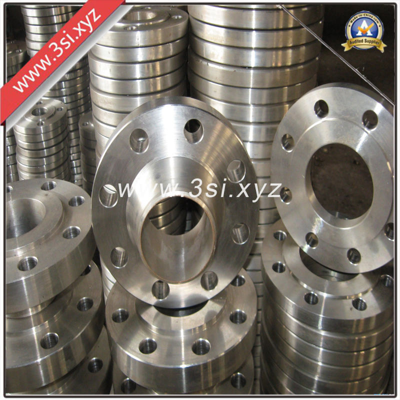 Quality Forged Stainless Steel Welding Neck Flange (YZF-E383)