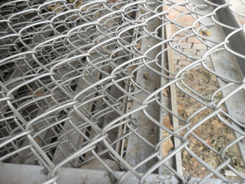 Galvanized Chain Link Fence