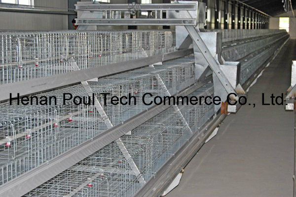 Poul Tech Broiler Chicken Cage