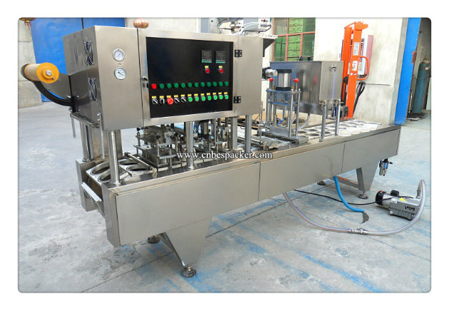 Automatic Ice Cream Filling Sealing Machine