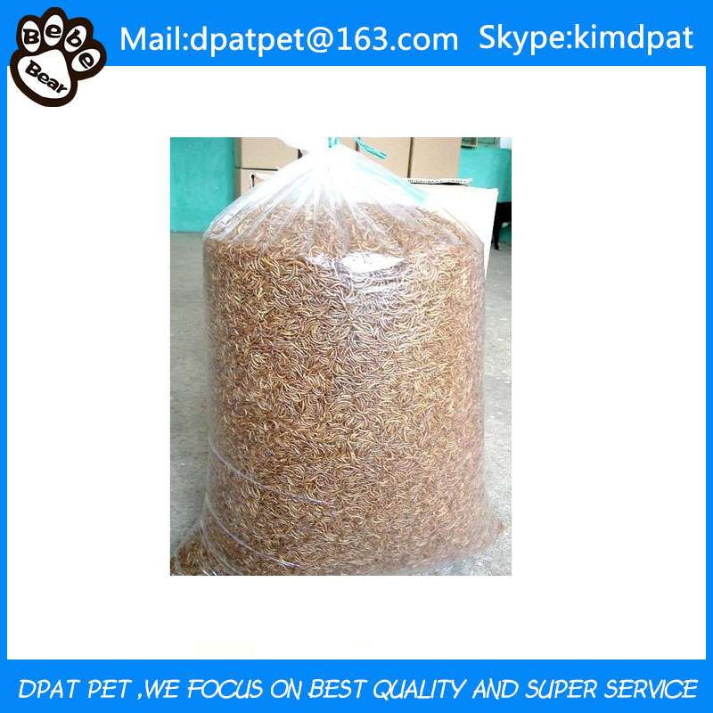 Dried Mealworm for Bird Feed Chicken Reptile Food