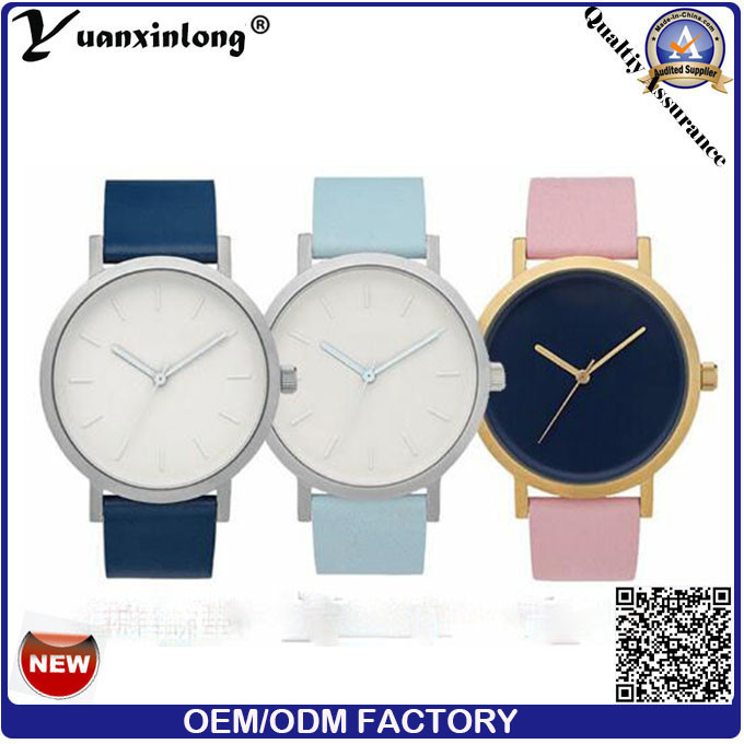 Yxl-682 Assisi, Classic Watch, The Horse Watch Simple Design and Customer Logo for Men and Women