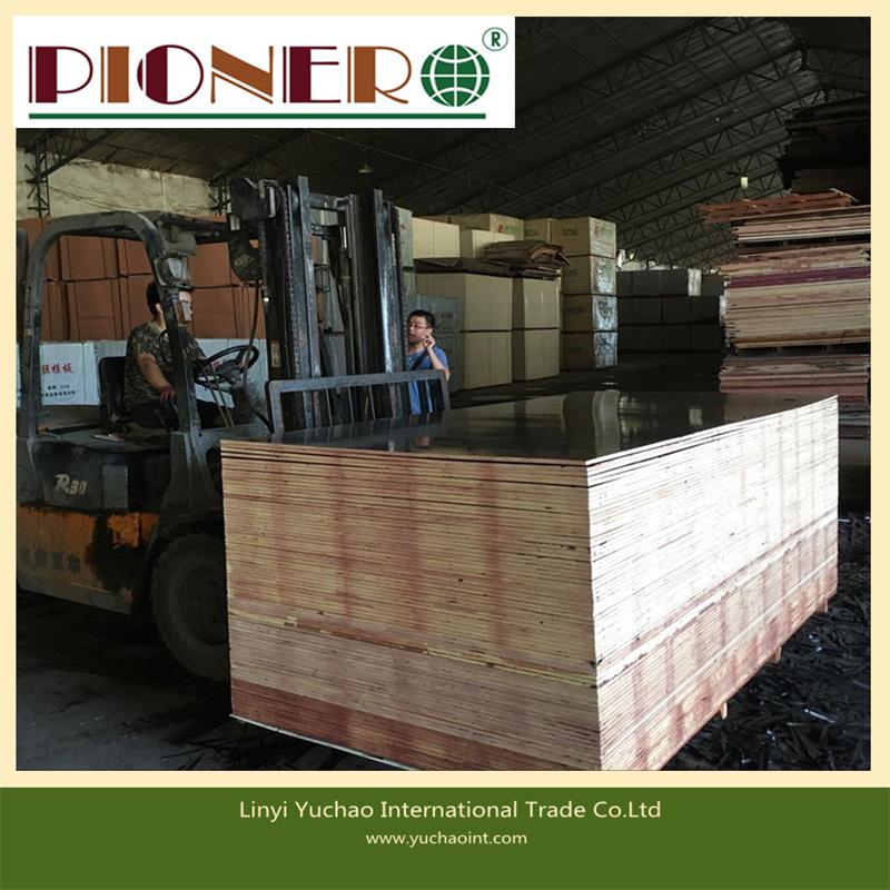 18mm Film Faced Plywood with Whole Core for Africa Market
