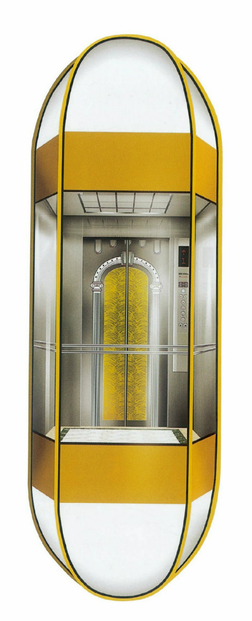 1000kg Diamond Shape Panoramic Elevator with Capsule Cabin (LL-024)