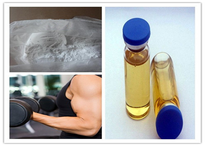 Pharmade Dbol Muscle Building Dianabol 80 Metandienone 72-63-9 Injectable Liquids