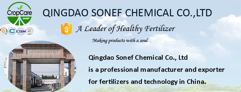 High Quality Pure Nitrogen Fertilizer