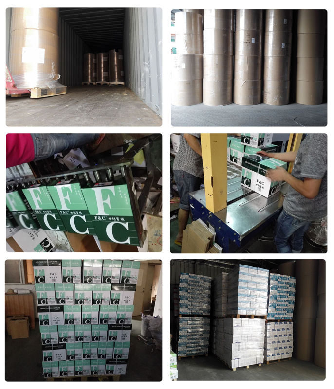 Wood Pulp Good Quality NCR Paper Sheets for Office Printing