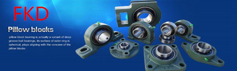 30mm Pillow Block Bearing Ucpx06 Bearing