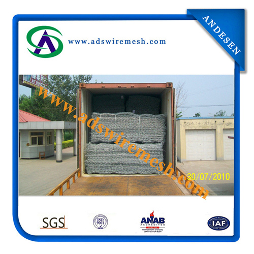 Gebion Box/ Chicken Wire Mesh/ Hexagonal Wire Mesh