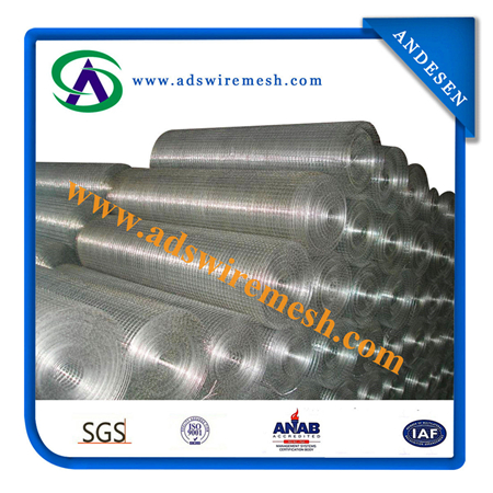 Stainless Steel Welded Wire Mesh / PVC Coated Welded Wire Mesh Panel / Galvanized Welded Wire Mesh