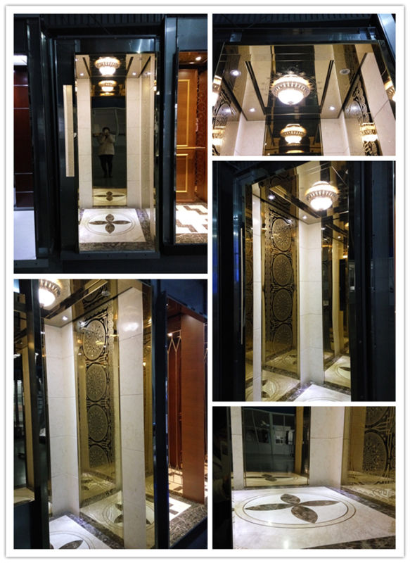 4person, 5 Perseon Villa Elevator Wih High Quality