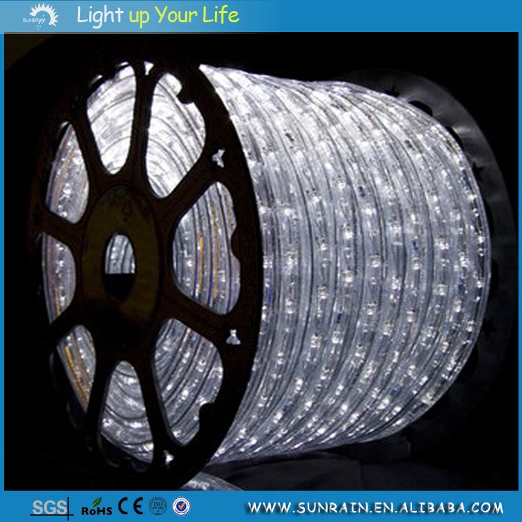 LED Rope Light (SRSL-2W)