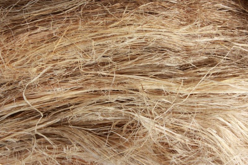 Raw Hemp Bark Fibre (RHF)