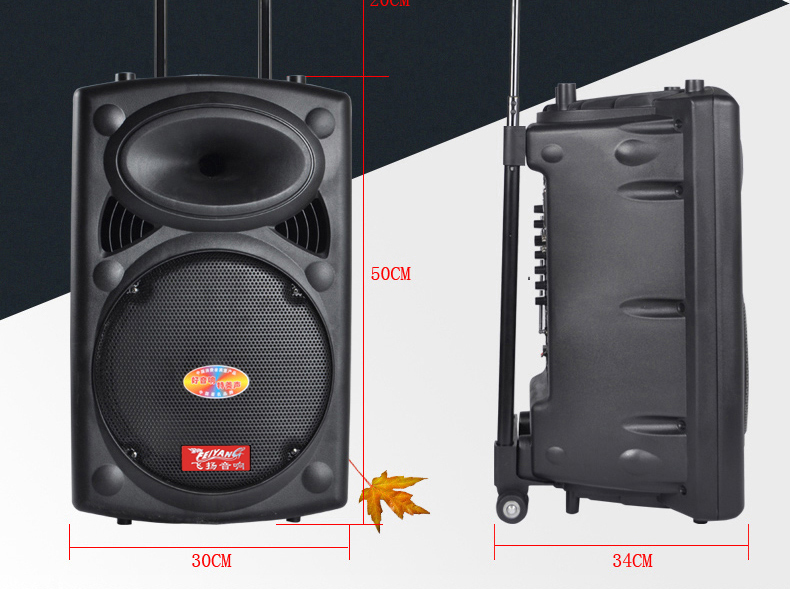 12-Inch Professional Active Speaker with Bluetooth, USB/SD/Mic Inputs and FM Radio 6814D