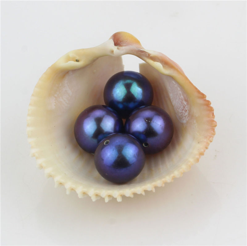Snh 10-10.5mm Big Size Natural Peacock Pearl Beads