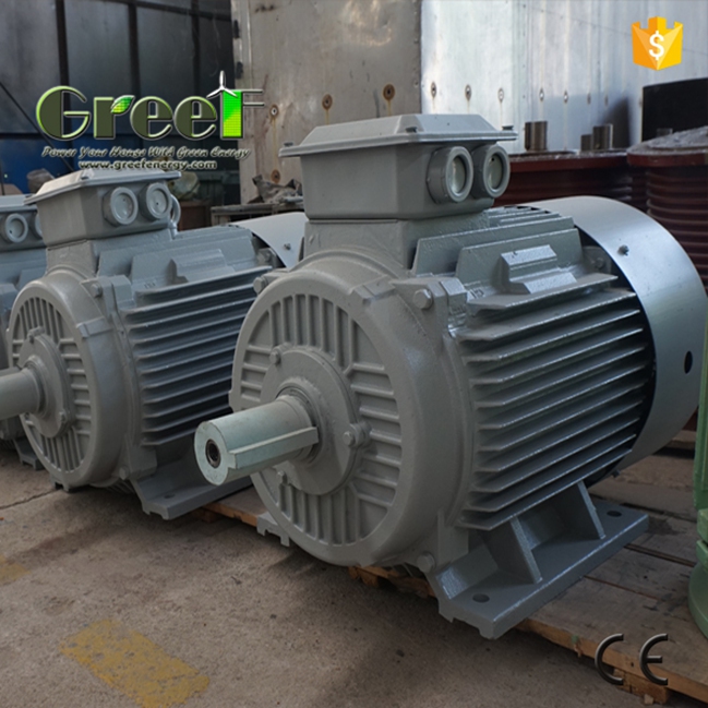 AC Brushless 3 Phase 15kw 100rpm Permanent Magnet Synchronous Generator