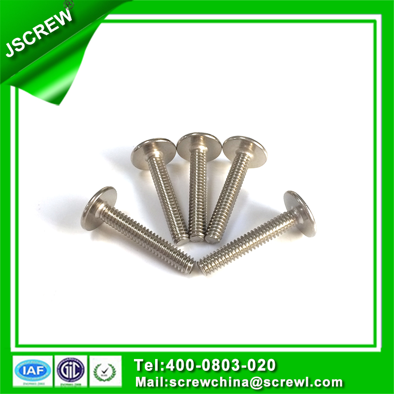 1/4 Stainless Steel Phillips Big Flat Head Screw