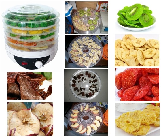 GS Approval Mini 5 Layers Electric Food Dehydrator Machine Fruit Dehydrator Vegetable Dehydrator Fruit Dryer