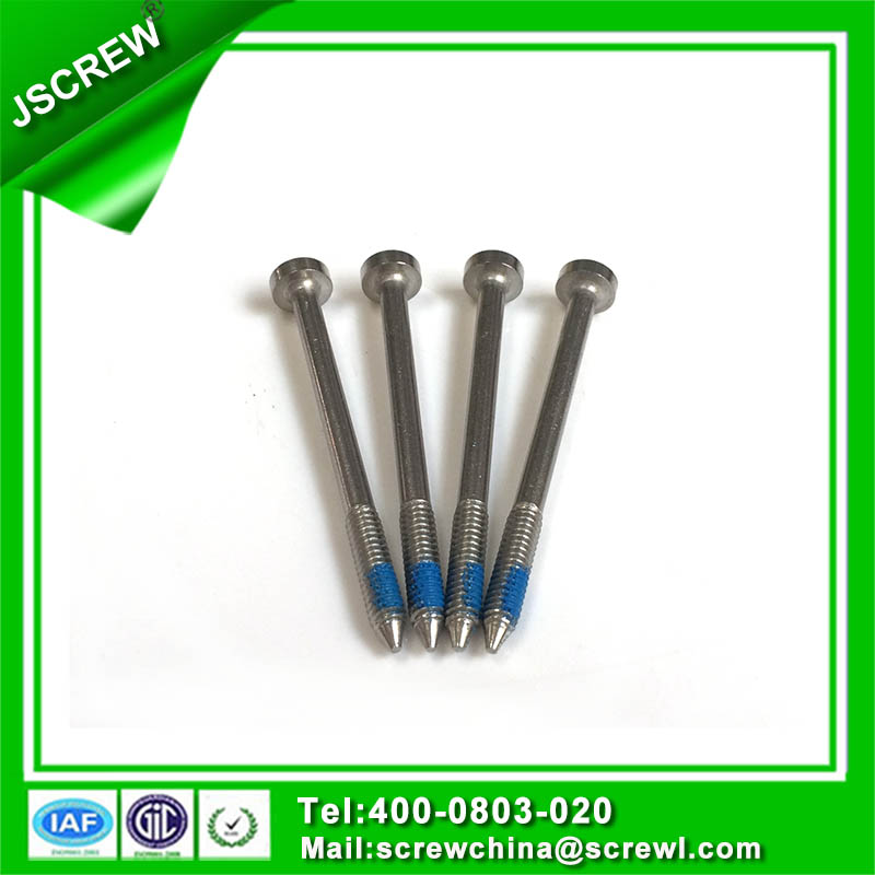 Stainless Steel Security Self Tapping Screw