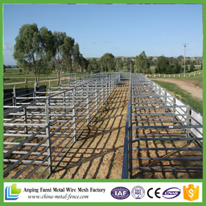 Welded Wire Fence Panels for Sheep / Cattle Panel / Sheep Fence Panel