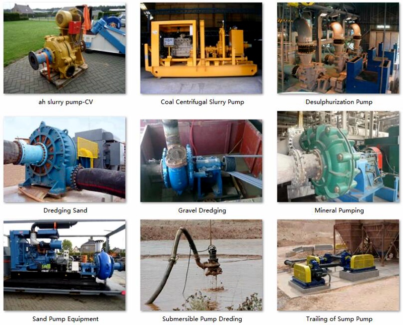 Mineral Vertical Pump Processing Effluent Handling Slurry Pump
