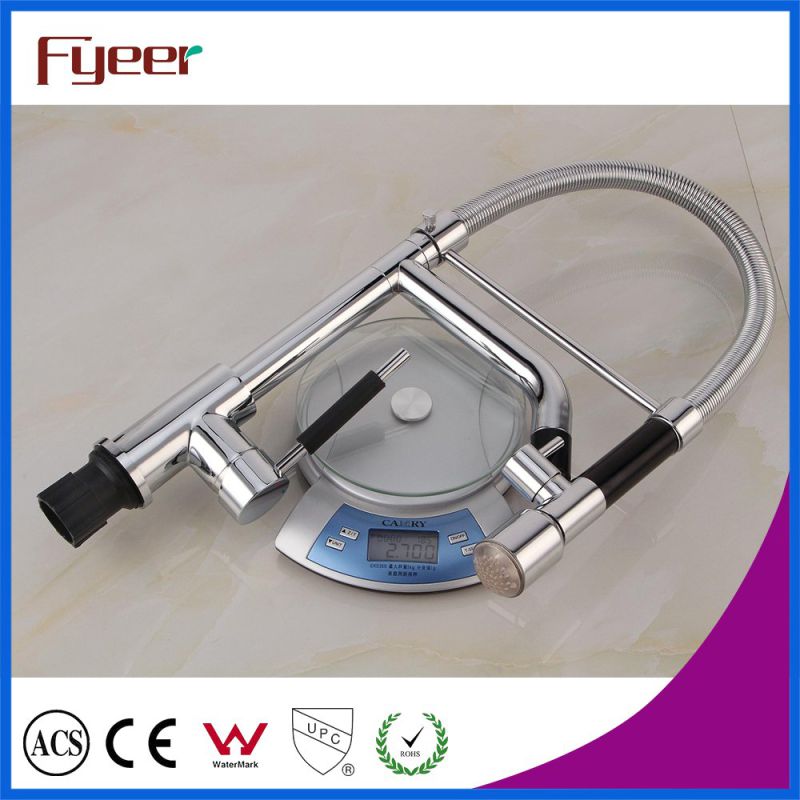 Fyeer High Quality Double Sprayer LED Kitchen Sink Faucet