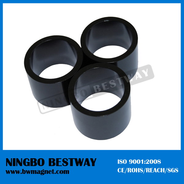 Different Strong Neodymium Multipole Ring Magnet