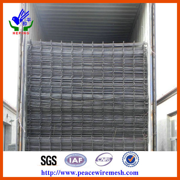 Ewwm-02 Welded Wire Mesh (Professional Manufacturer)