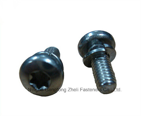 Torx Socket Screw of Fastener with Carbon Steel