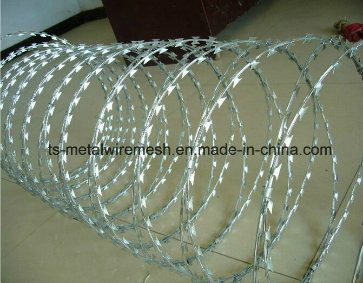 Razor Barbed Wire Mesh Fence