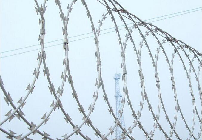 Wholesale Hot-Dipped Razor Barbed Wire