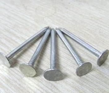 Hight Quality Galvanized Steel Roofing Nail (5MM-9MM)