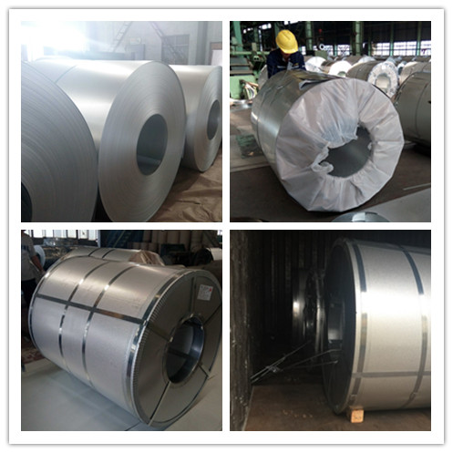 Prepainted Steel Sheet in Coil for MID East Market