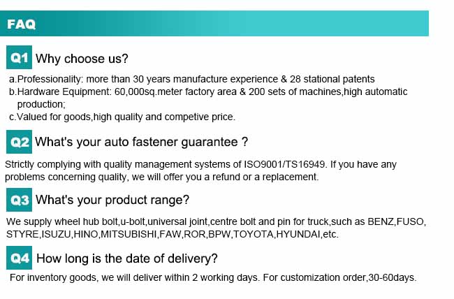 Fasteners Manufacturers Precision Truck Wheel Bolt