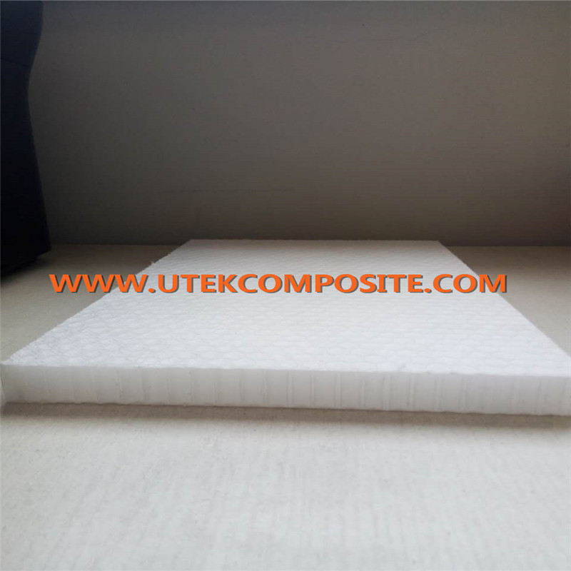 30mm Thickness Core Material PP Honeycomb for Marine