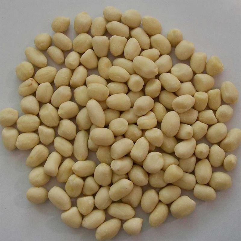 Blanched Peanut Kernel 25/29