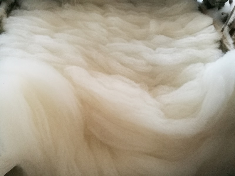 Cashmere Yarn 26s/2...300S