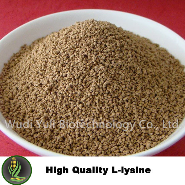 Time Honored Supplier Offer L-Lysine Hydrochloride