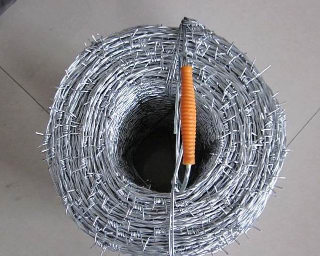 Hot-Dipped Galvanized Razor Barbed Wire for Fence