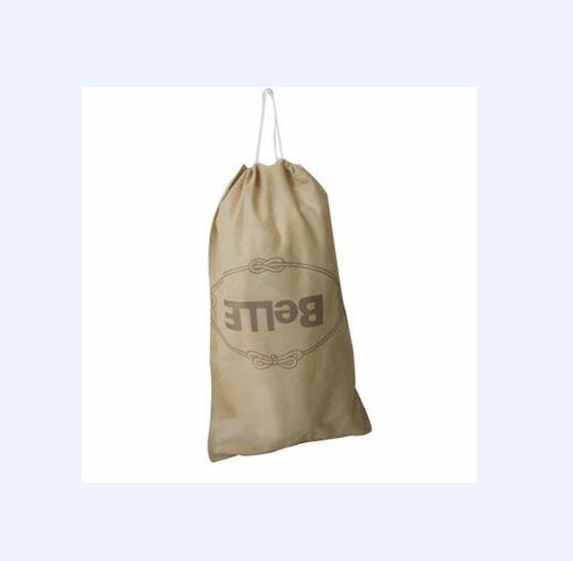 Environmental Protection Decoration Bag with Logos / Words (GZHY-dB-001)