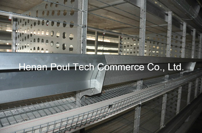 H Frame Layer Chicken Cage Equipment