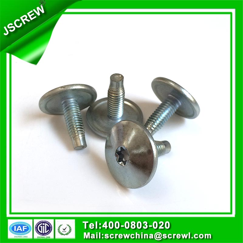 M8 Torx Head Stainless Steel Screw