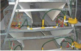 a-Type Pullet Cage System