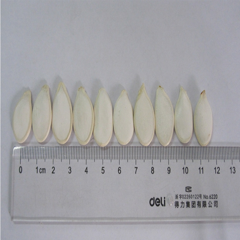 Snow White Pumpkin Seeds Supplier