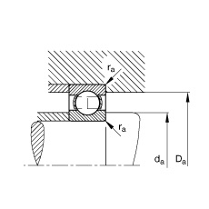 Needle Roller Bearing 4924