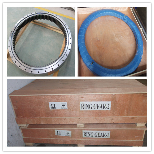 Large Diameter Slewing Bearing for Crane