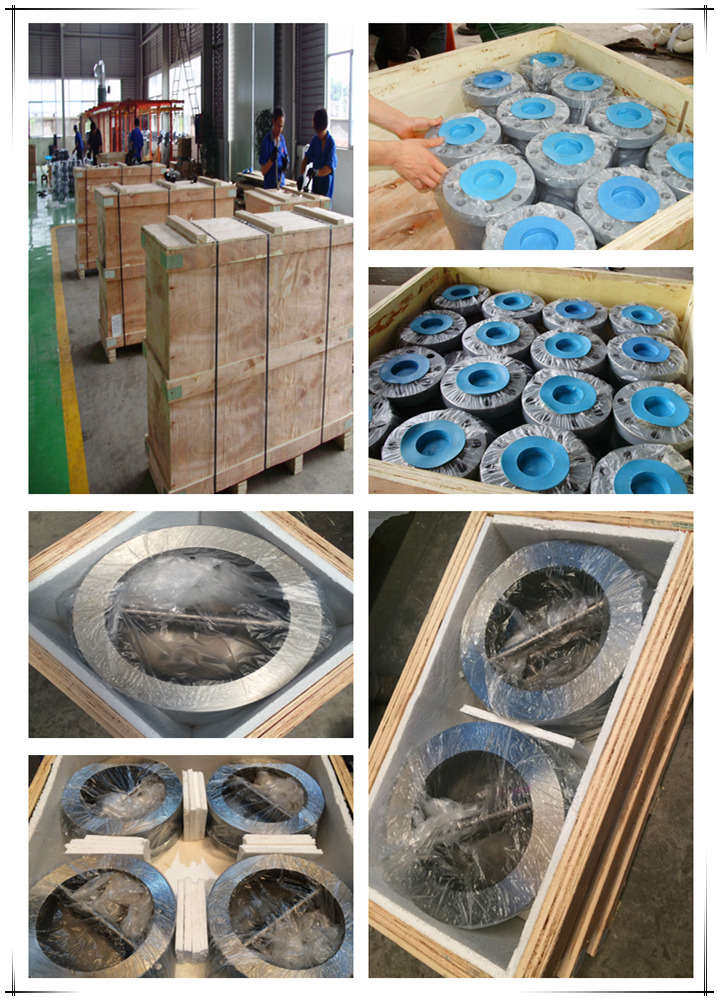 Cast Iron Ductile Iron Flanged Foot Valve