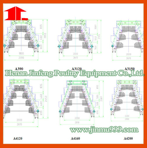 Atomatic High Quality Poultry Farm Machinery Layer Chicken Cage